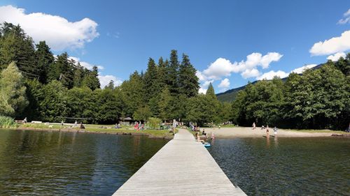 A view from the jetty back towards the shoreline of Alpha Lake Park, where it is believed police recovered Ms Raspa's mobile phone (Google Maps)