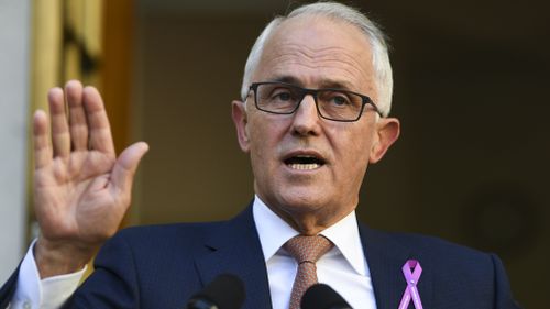 Mr Turnbull announced a ban on minister having sex with staff yesterday and said his deputy had made a "shocking error of judgement" in having an affair with a media adviser, and should consider his future (Supplied).