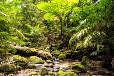5. Mossman Gorge, Daintree Region, Queensland