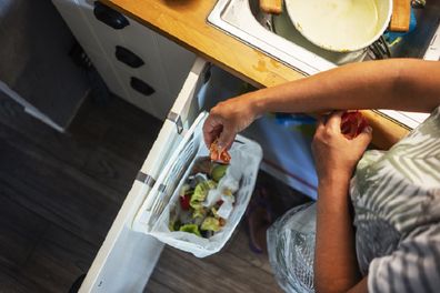 Aussie Mum's 'Veggie Saver' Invention