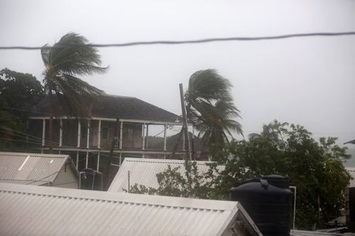 Palm trees sway in the wind in Port Royal, Jamaica, on October 27.