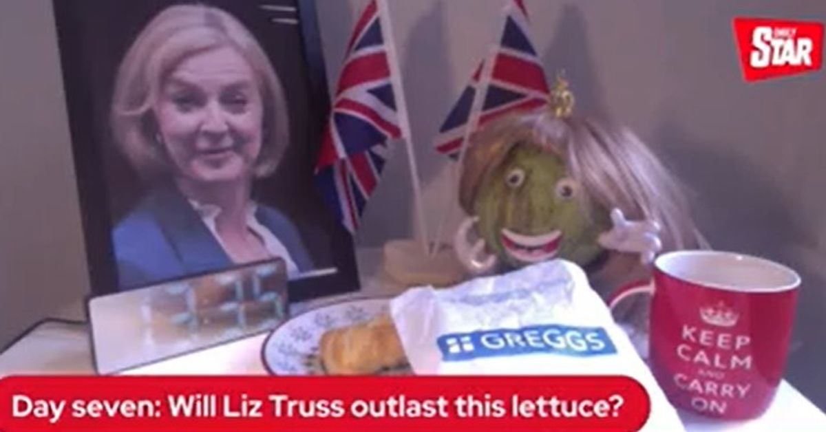 'Bye, bye Liz Truss, congrats to lettuce': World leaders react to Truss's historic departure