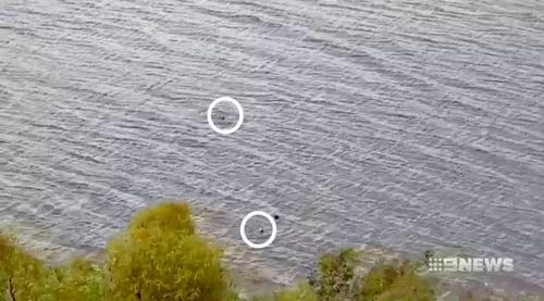 Mobile phone footage shows the moment the boys began to struggle in the water.