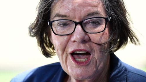 Independent MP Cathy McGowan to retire from federal politics