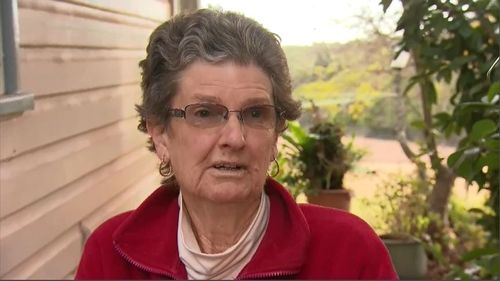 Local resident Dawne Dunlop told 9NEWS the sound of the impact echoed 'like a gunshot'. Picture: 9NEWS.