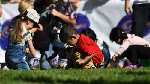 Kids picking up easter eggs at the biggest hunt in Australia at Werribee mansion. (AAP)