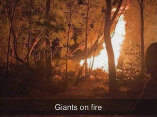 A $25,000 reward is on offer to help solve an arson attack on a new artwork in Perth, which police have branded "disgusting and cowardly".One of the giant wooden creations that made up part of new attraction The Giants of Mandurah was torched by arsonists at 11.30pm on Friday.