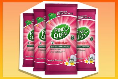 9PR: Pine O Cleen Antibacterial Disinfectant Cleaning Wipes, Tropical Blossom, 480 Pack 