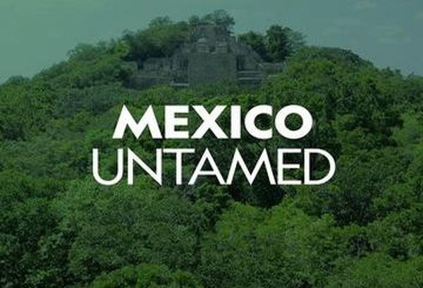 Mexico Untamed