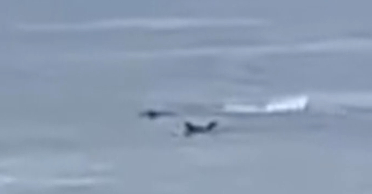 Surfer twice bitten by shark chasing seal off Kangaroo Island