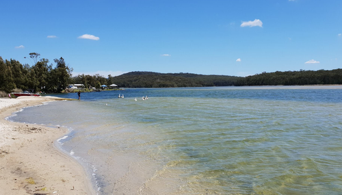 A 28-year-old woman was killed when she fell off a bota at lake Conjola and was hit by the same boat.
