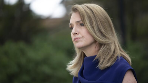 Leader of Opposition and NSW Liberal Leader Kellie Sloane.