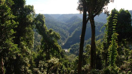 Sydney man dies in Queensland kayaking tragedy