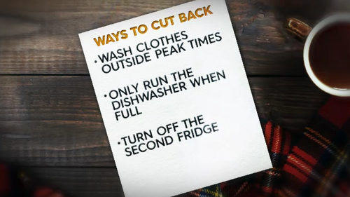 Experts have also suggested that households keep their windows and excess doors to empty rooms closed, as well as washing clothes at non-peak hour times and turning off extra fridges needed during summer. 