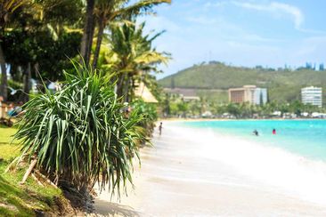Swimming has been banned on beaches in Noumea, New Caledonia.