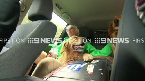 Mrs Ellis was walking her dogs when she became separated from her husband. (9NEWS)