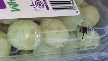 The live spider was spotted at the top of the box of grapes. 