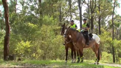 The search for Elisa Curry has entered its fourth day. (9NEWS)