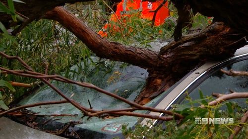 Cars were damaged during the wild weather. (9NEWS)