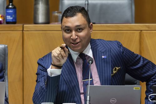 Senator Ralph Babet during a Senate hearing. 