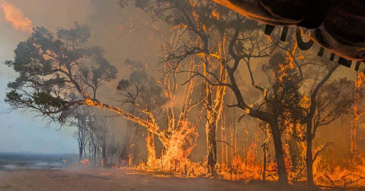 Victoria bushfires could burn 'for weeks', expert warns