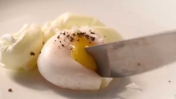 Perfect poached egg