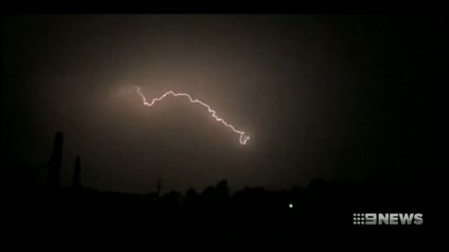 Sydney Plumpton fallen power line