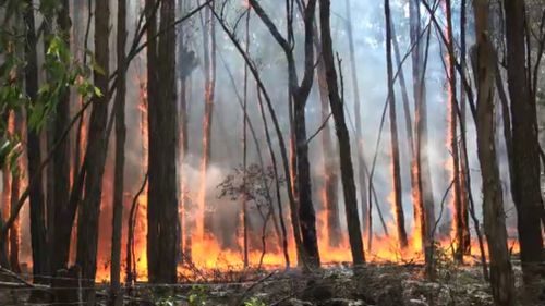 A view of the bushfire from the ground.