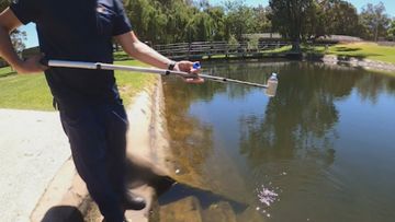 WA residents warned of hidden danger in waterways after discovery of deadly parasite