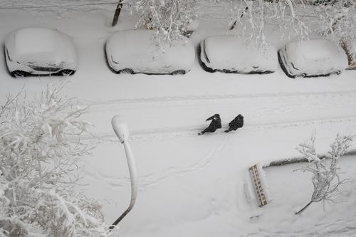 Cold snap brings Spain's lowest temperatures in 20 years