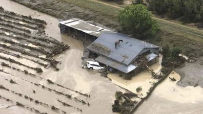 This photo, posted to Facebook by New Zealand Equestrian Scene, showed a horse stranded on the roof of a building at Hawke&#x27;s Bay, New Zealand, during flooding caused by Cyclone Gabrielle.