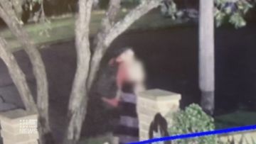 The NSW Police Minister is calling for bail laws to be reviewed after a man accused of raping a woman in Revesby at the weekend was released from custody. 