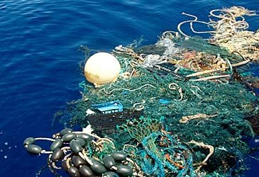 The world's biggest trash vortex is in which ocean?