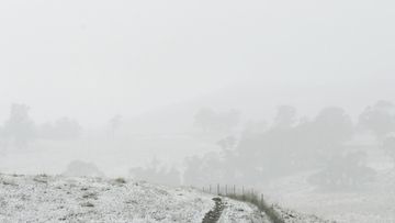 Snow covers the ground near Oberon where the temperature is 0 degrees. Oberon, NSW. 1st June, 2022. Photo: Kate Geraghty