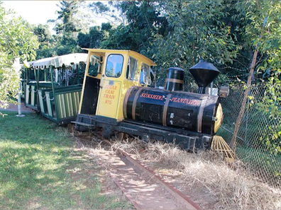 Princess Diana and Prince Charles travelled aboard the train during their 1983 Australian tour.