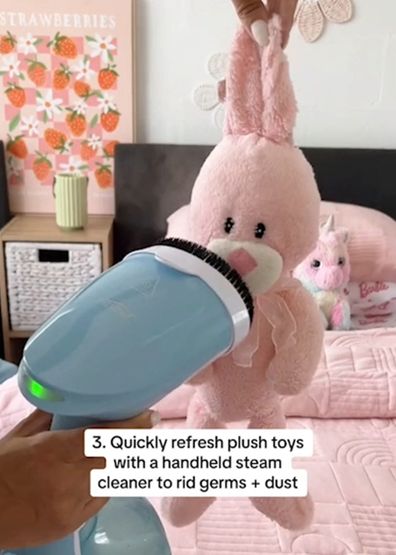 Chantel Mila shows how to clean a stuffed toy with a steamer