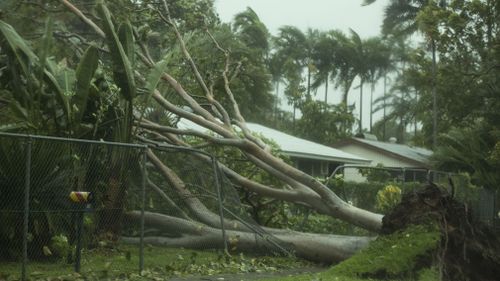 Tropical Cyclone Marcus brought down trees and power lines and blocked roads as it crossed Darwin. Picture: AAP.