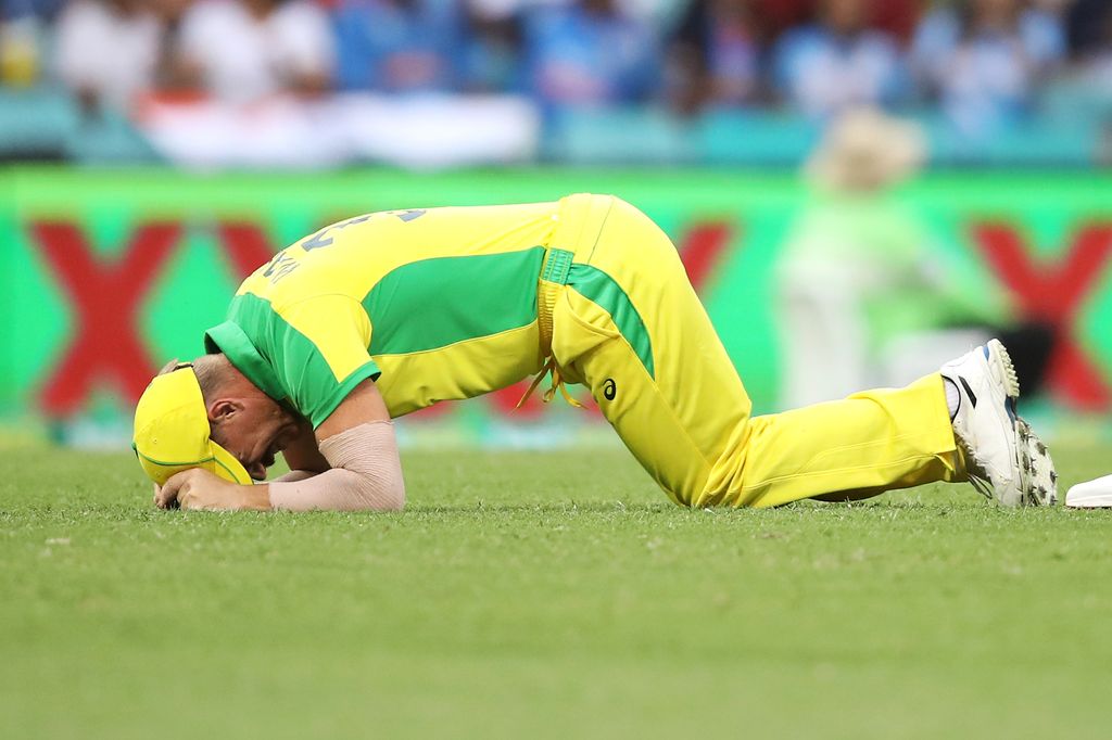 IND vs AUS 2020: D'Arcy Short called in after David Warner ruled out of the ODI and T20 series with a groin injury. 