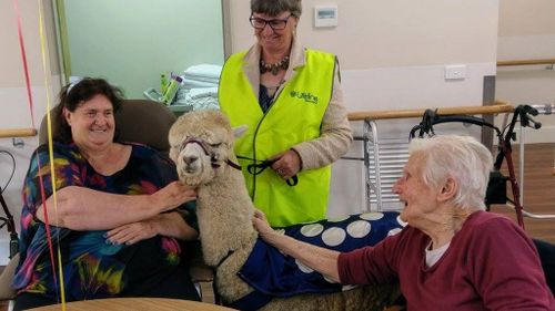 Harold on one of his many visits to an assisted-care facility. (Facebook)