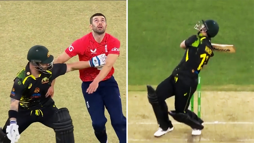 Matthew Wade's controversial move should have been appealed says Mike Hussey