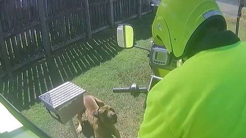 With violent dog attacks on the rise, posties and delivery drivers are issuing a new plea to pet owners.