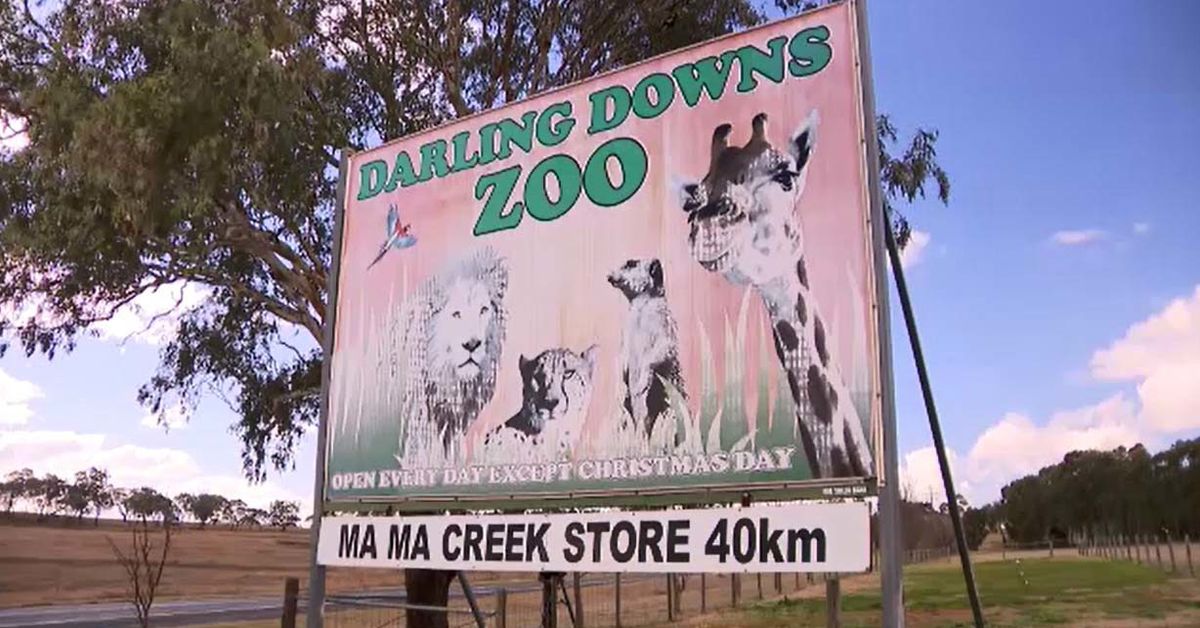 Zoowärter ins Krankenhaus eingeliefert, nachdem er im Zoo von Queensland ...