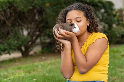 Guinea pig