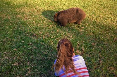 8. Wild Wombat and Kangaroo Day Tour, Sydney