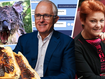 Meta's AI chatbot thinks Turnbull still PM and drop bears 'very real'