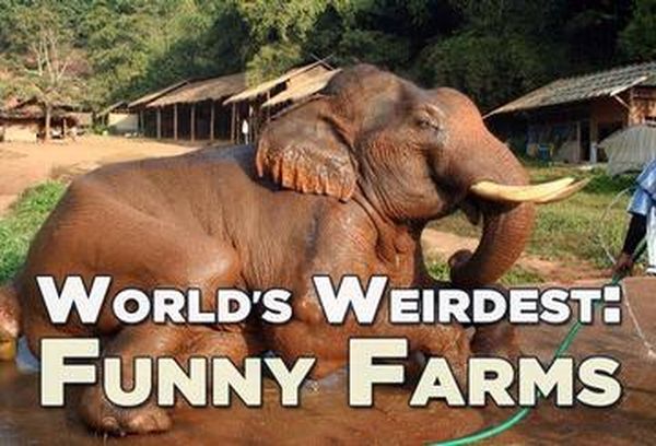 World's Weirdest: Funny Farms