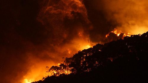 Mr Andrews says the state government will stand by those affected by the fire. (9News)