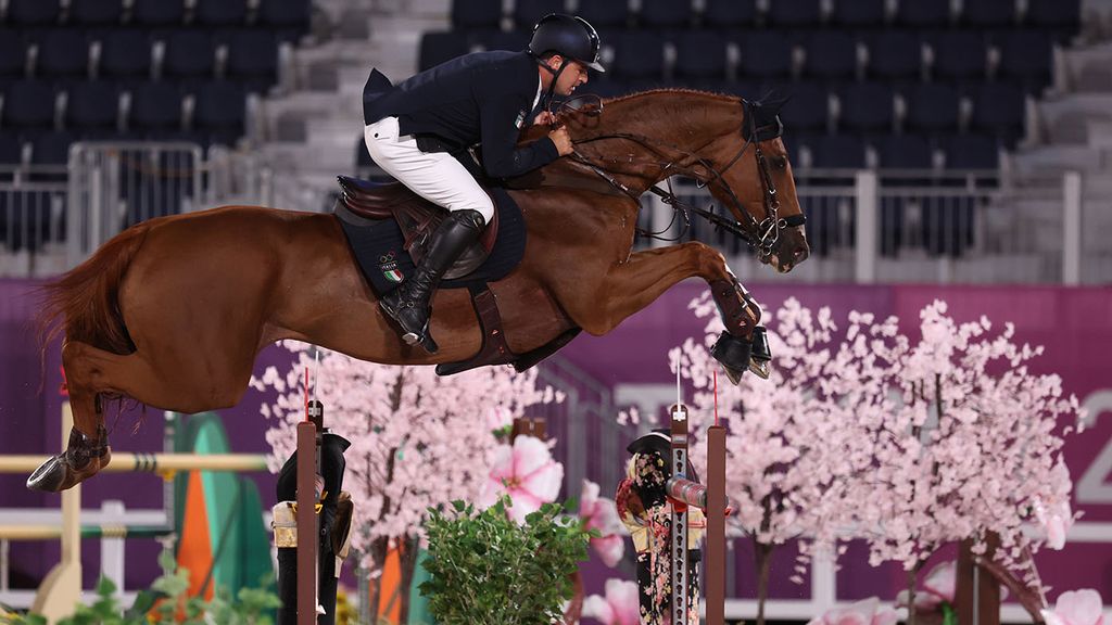 olympic show jumping course