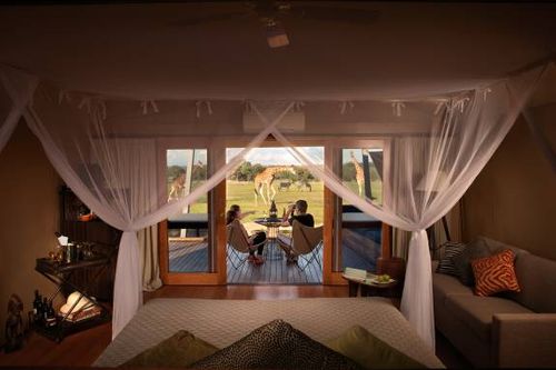 Fit for Royals - Prince Harry and Meghan Markle may visit the Taronga Western Plains Zoo, staying at one of the Animal View lodges as part of its Zoofari Lodge Accommodation