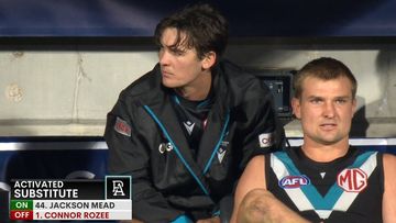 Coach's grim admission after skipper injured again